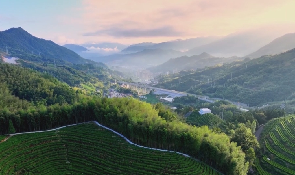 循迹溯源看变化｜景宁澄照乡以感恩为墨 绘就产业富民与项目兴乡高质量发展画卷(图6)