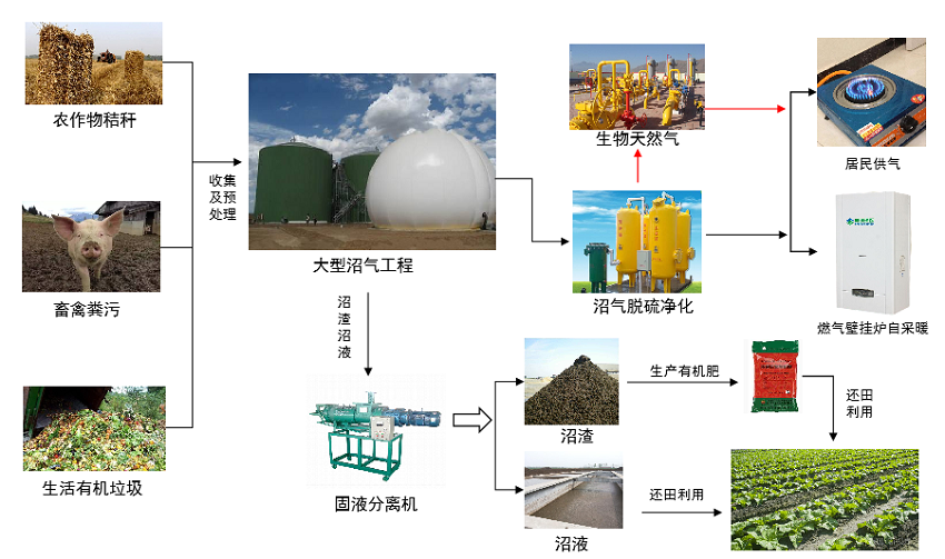 张掖市农业农村局(图4)
