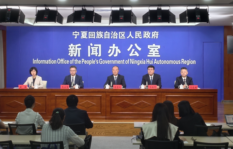 宁夏新能源装机达到4456万千瓦 占全区电力总装机的57%(图1)