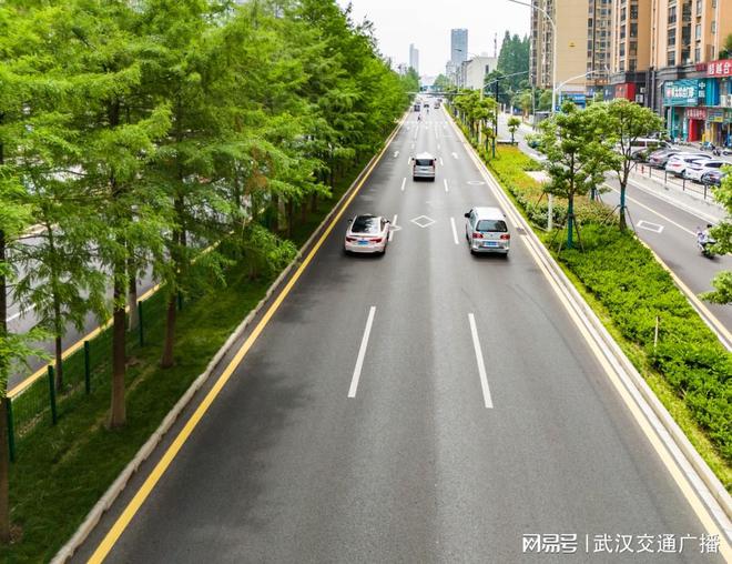 汉阳琴台大道焕新升级：道路扩容畅行架空管线入廊(图3)