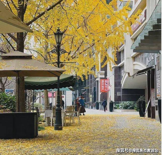 金色贝拉维(售楼处)首页网站-金色贝拉维销售中心(营销中心)-楼盘欢迎您-楼盘详情-周边配套-售楼处电话-交房时间-小区环境-户型-价格-地址(图6)