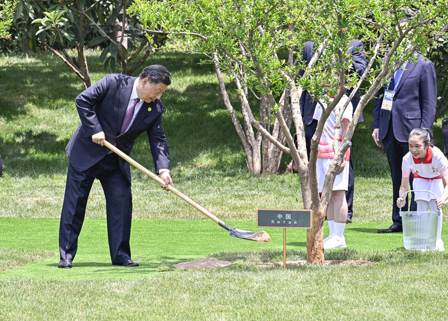 乘风破浪、勇毅前行(图1)