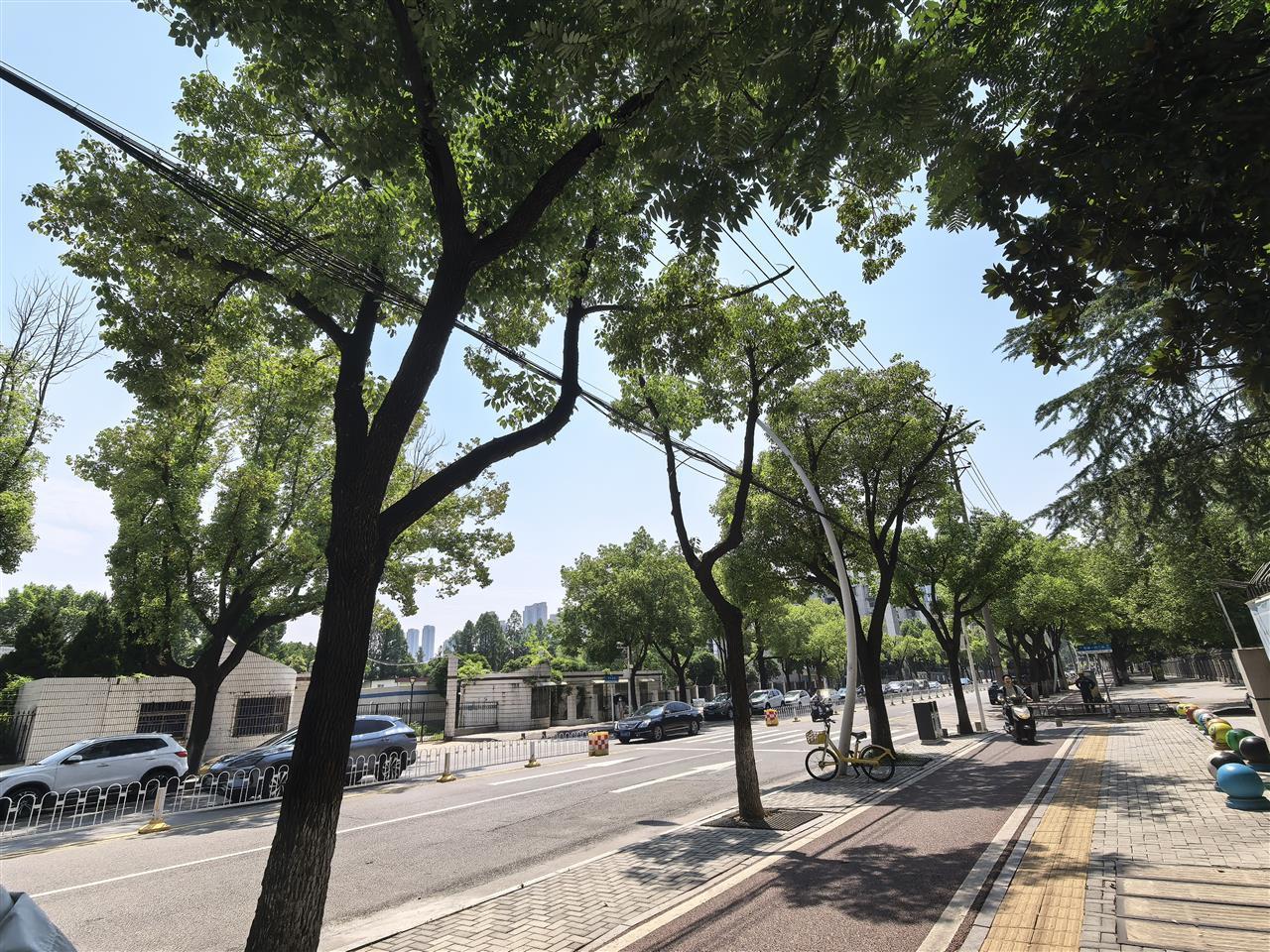 “蜘蛛网”消失了！武汉这段路露出清朗的天际线(图1)