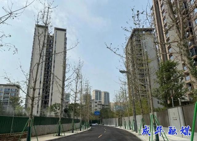华府大道、大件路、川大路最新进展来了(图7)